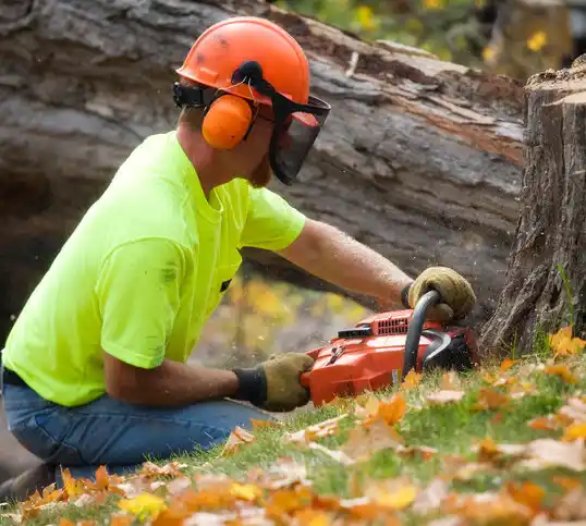 tree services Rolling Fields